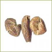 Terminalia chebula 